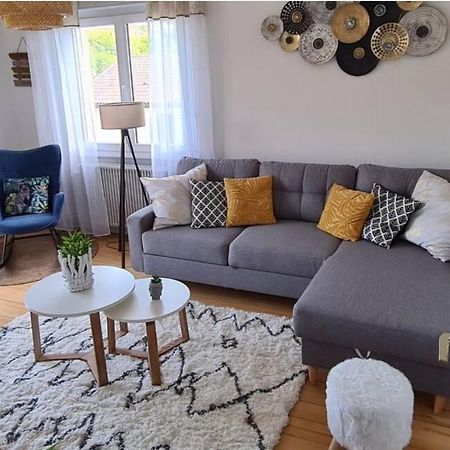 Appartement Cocooning Corcieux 外观 照片