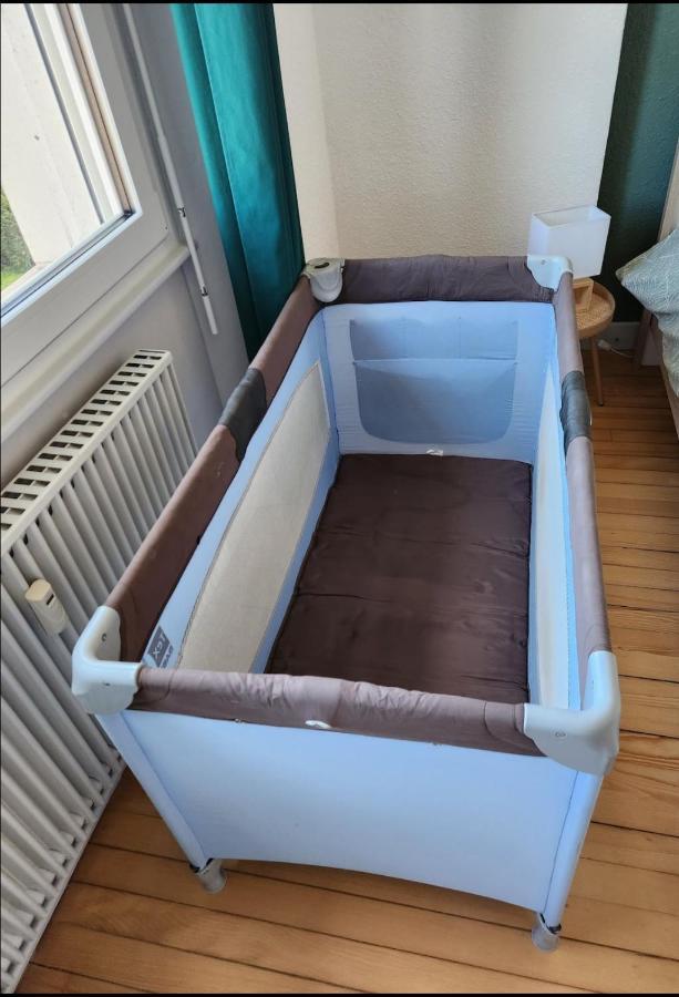 Appartement Cocooning Corcieux 外观 照片